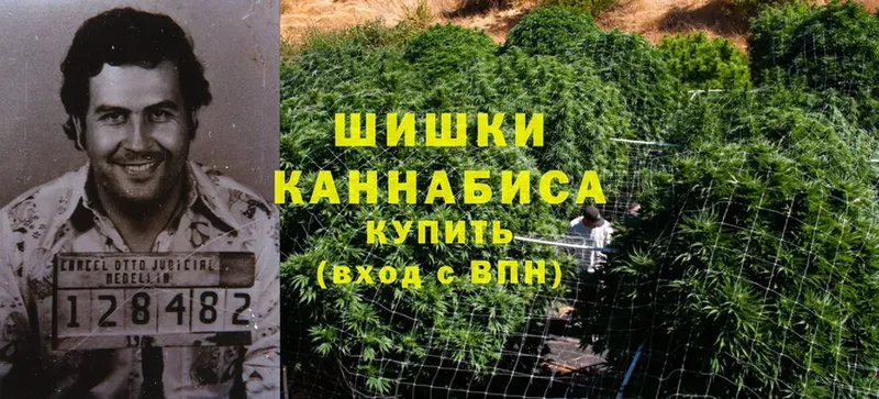 Конопля LSD WEED  Пустошка 